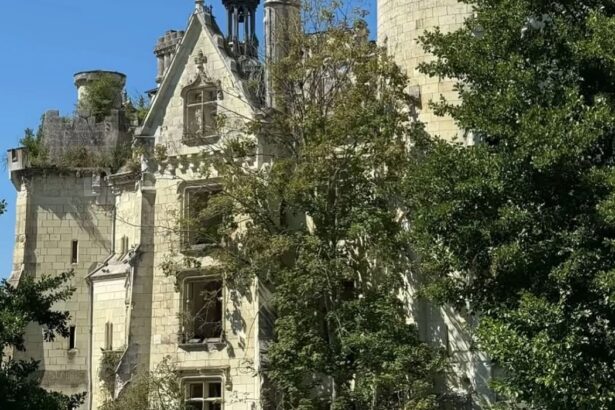 La Mothe-Chandeniers